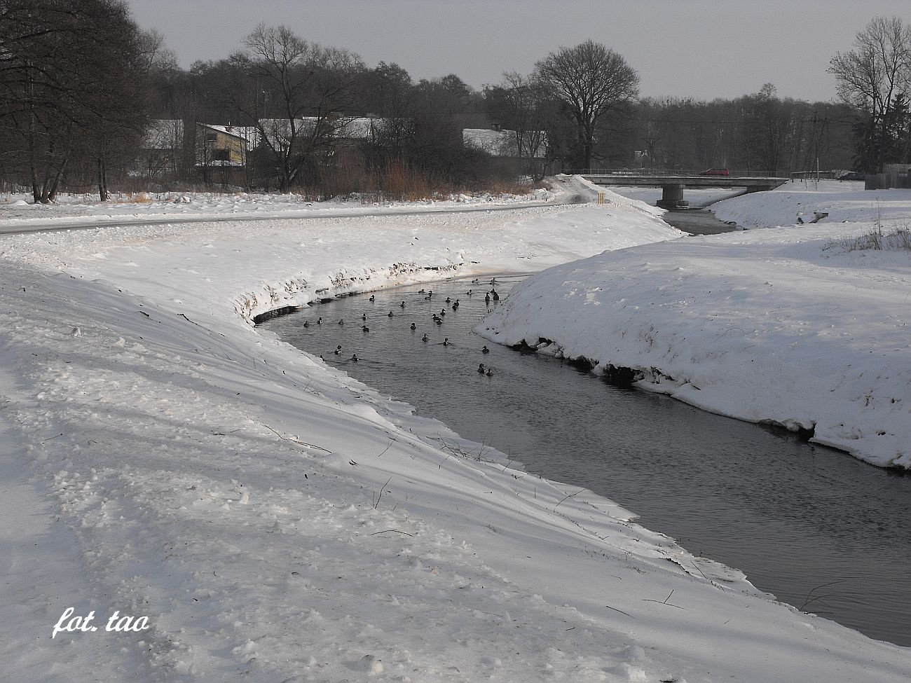 Zakola Sierpienicy. Widok na most przy ul. Wojska Polskiego, 1.02.2014 r.